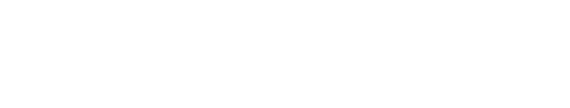 Vereda Group